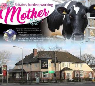 11.03.2018 Britains hardest Working Mother, doordropping